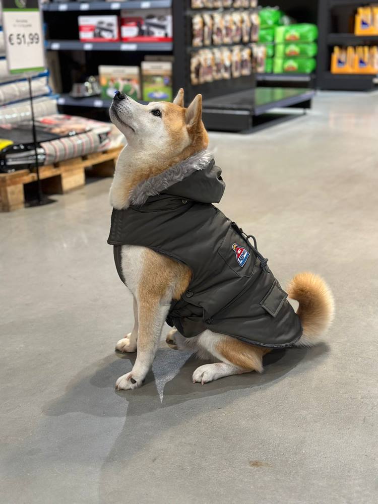 Dog gone smart aspen parka 2024 uk 18